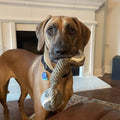 Durable Nylon Dog Interactive Dumbbell Shaped Knot Rope Combination Aggressive Dog Rope Toy Molar CHEW Toy Cotton Dog Toy Rope