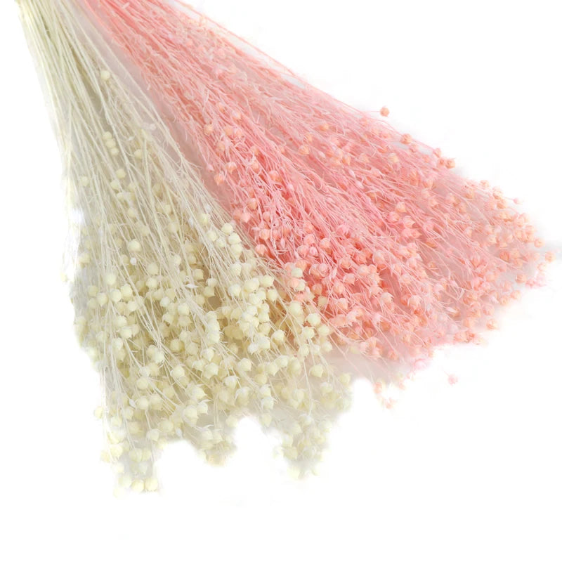 Wholesale Real Touch Preserved Flower Dried Acacia Bean Flower Arrangement Home Indoor Decoration Art Thanksgiving Valentine's