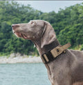 Outdoor Hunting Accessories Quick-Release Tactical Dog Collar Night Reflective Nylon Pet Neck Collar for Secure Dog Walking