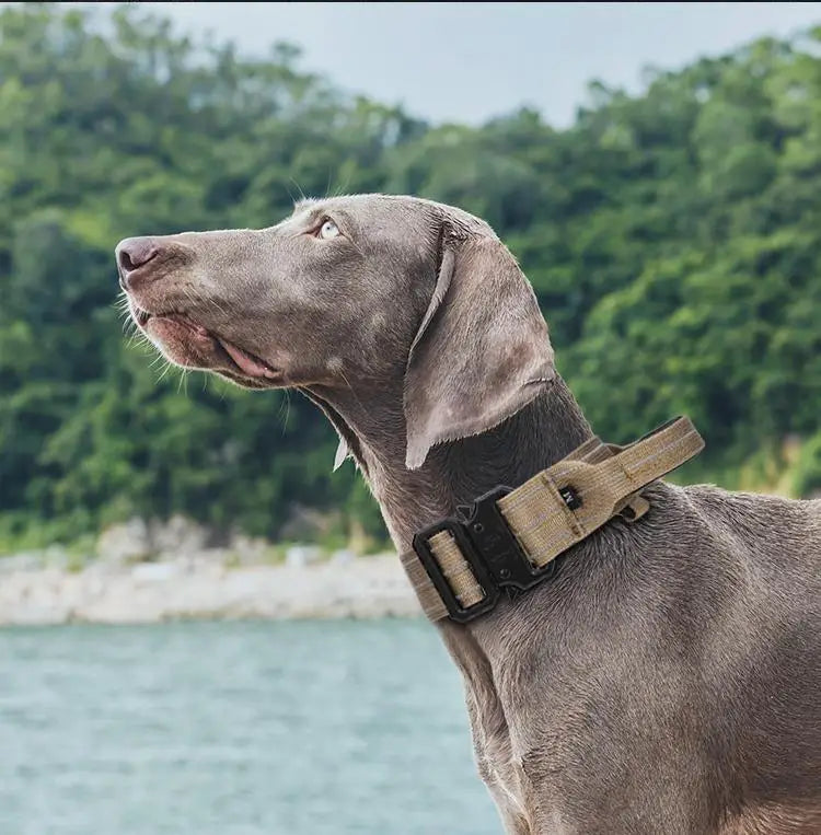 Outdoor Hunting Accessories Quick-Release Tactical Dog Collar Night Reflective Nylon Pet Neck Collar for Secure Dog Walking