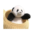 Sample Support Sheepskin Fur Doctor Panda Toy Soft Big Plush Bear for Kids Christmas Gift for Children Animated Stuffed Animal
