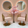 Beauty Hairdressing Salon Equipment Makeup Styling Chair with Stainless Steel Base