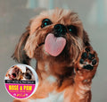 Hot Sale Natural Homemade Paw Balm for Dogs and Cats Comfortable Smoothing Product with Stainless Steel and Rubber Material