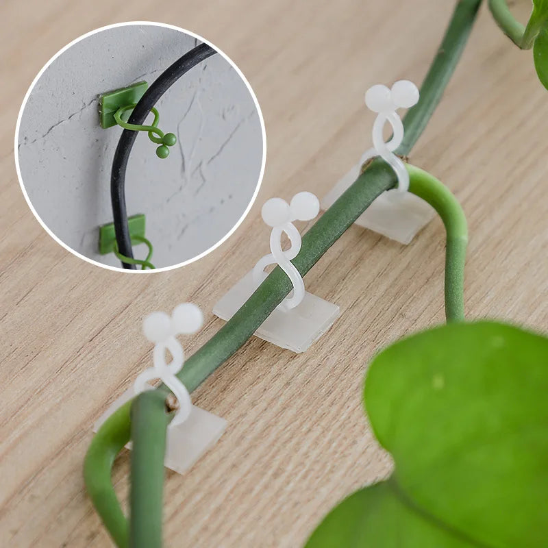 Plant Climbing Wall Fixing Clip Plant Climbing Tool Wall Fixing Device Plant Wall Climbing Vine Clips
