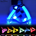 Hot Sale Night Security LED Adjustable Dog Harness and Leash Set Pet Dog Harness Collar USB Rechargeable Nylon Lights RIBBONS