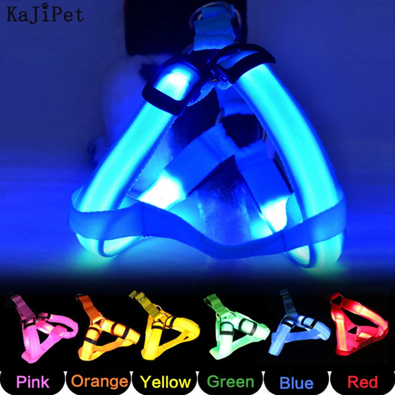 Hot Sale Night Security LED Adjustable Dog Harness and Leash Set Pet Dog Harness Collar USB Rechargeable Nylon Lights RIBBONS