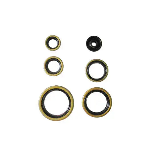 NRTeam Engine Oil Seal Kit Rubber Seal Ring for Husaberg TE 250 11-14 Piston Shaft Seal Car Automotive Packing Style TCV TCN TC