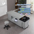 TX1 Modern Style Durable Beauty Salon Furniture Thai Style Shampoo Chair & Massage Bed for Hotel & Barbershop Use