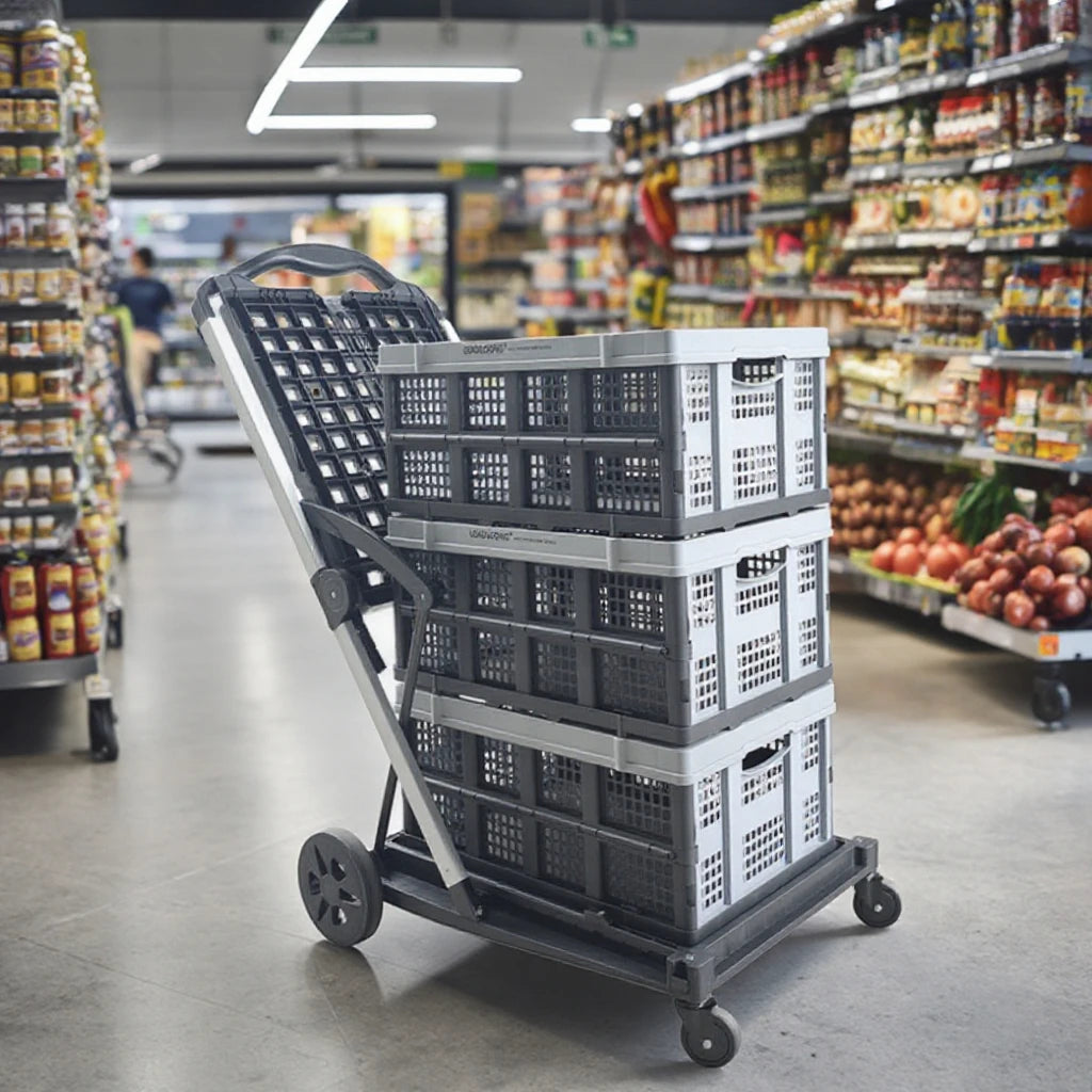 LEADLOONG 2-Tier Collapsible Shopping Cart with Storage Crate Folding Trolley for Kitchen Garage Grocery Laundry Outdoor Use