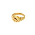 Simple 316L Stainless Steel 18K Gold Plated Twist Lines Finger Ring Titanium Steel Horn Thread Shaped Band Rings Jewelry