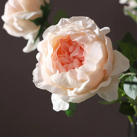 N193 Home and Wedding Decoration Artificial Roses Austin Rose and Flowers Supplies for Valentine's Day Graduation