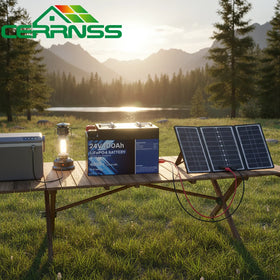 Deep Cycle 4000 Time 8s1p Solar Cart Pack Home Energy Storage Battery Lifepo4 Battery 200ah 24v 100ah Lithium Battery