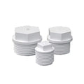 PVC Pipe Cap Inner Thread Outer Thread Plug Tooth Plug Water Pipe Plumbing Pipe Fittings Cap 20_25_32mm