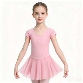 Toddler Pink Ballet Dress Dance Leotards with Skirt Gymnastic Ballerina Outfit Classic Practices Performance Costume for Girls