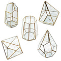 Tabletop Geometric Glass Flower Terrarium Metal Black Frame Succulents Terrarium Container Display Air Planter