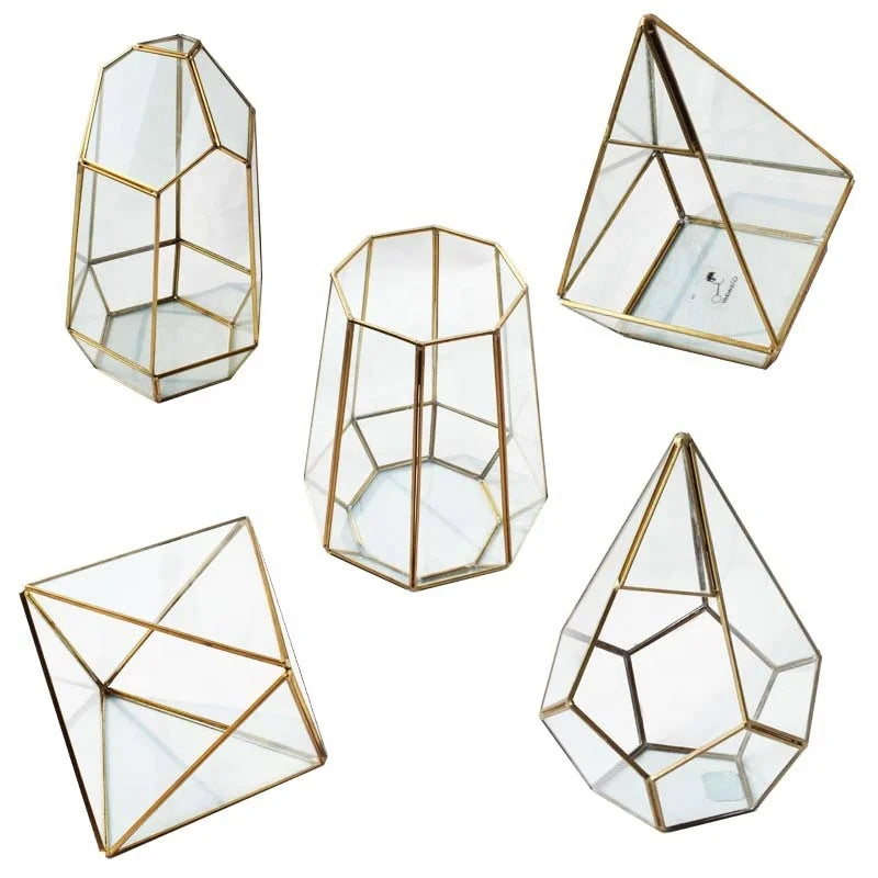 Tabletop Geometric Glass Flower Terrarium Metal Black Frame Succulents Terrarium Container Display Air Planter