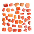 Spiny Oyster Shell Cab Orange Red Pink Cabochon Natural