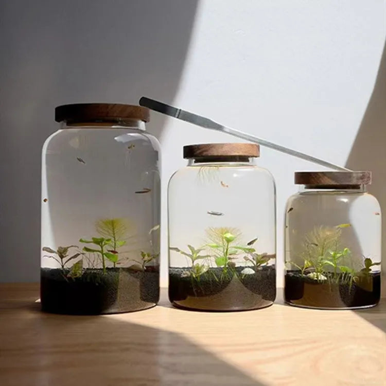 Modern Clear Glass Home Decor Planters and Terrarium Jar with Customizable Logo for Flowers and Plants