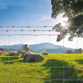 Hot-Dipped 4ft Galvanized Steel Cattle Sheep Fence Wire Mesh for Home Livestock Farm Border or Yard Fencing Factory-Produced