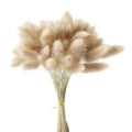 O-X0020 Dried Natural Bunny Tail Grass Lagurus Ovatus Grass for Home Wedding Decoration Preserved Flower Arrangement