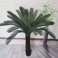 Cycas Revoluta Tree Plant for Sale Elegant Palm Tree Adding Beauty to Your Garden