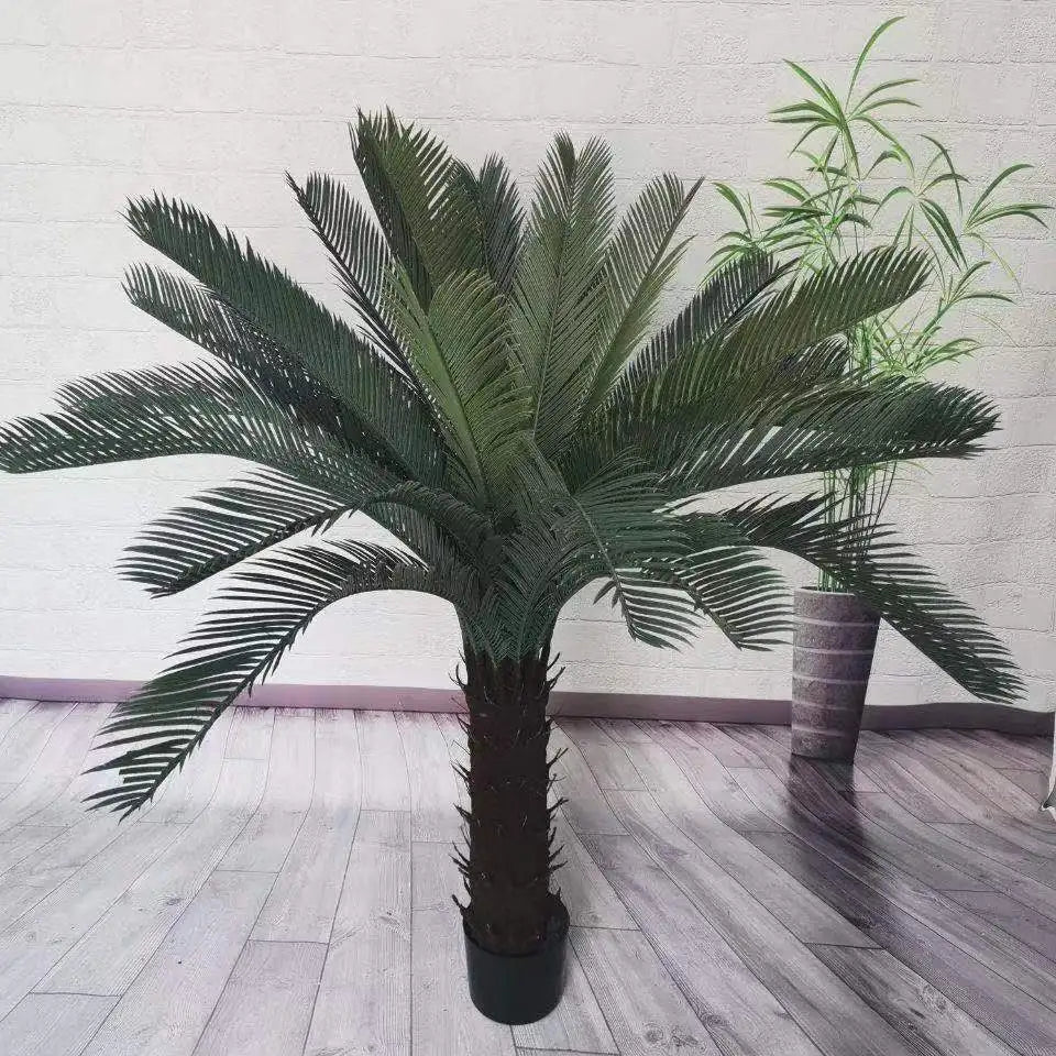 Cycas Revoluta Tree Plant for Sale Elegant Palm Tree Adding Beauty to Your Garden