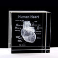 Honor of Crystal Glass Crystal Cube 3D Human Heart with Labels Anatomical Model Statue Paperweight Crystal Glass Cube