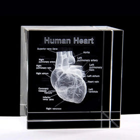 Honor of Crystal Glass Crystal Cube 3D Human Heart with Labels Anatomical Model Statue Paperweight Crystal Glass Cube