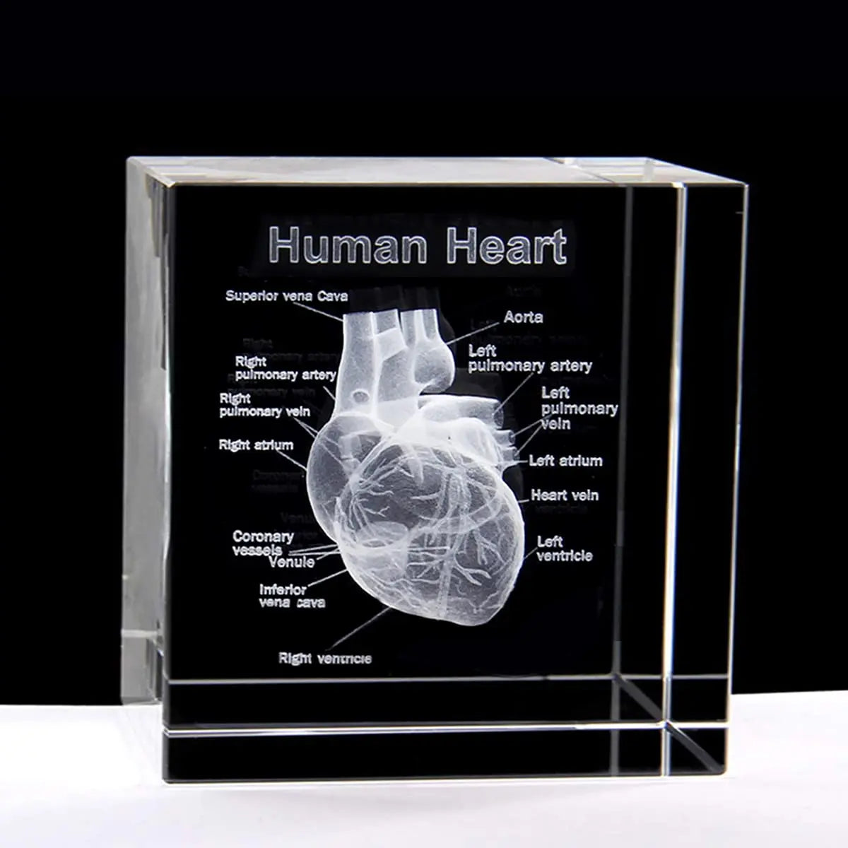 Honor of Crystal Glass Crystal Cube 3D Human Heart with Labels Anatomical Model Statue Paperweight Crystal Glass Cube