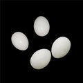 Simulation Bird Eggs Solid Plastic Pigeon Eggs for Promote the Pigeons to Lay Eggs