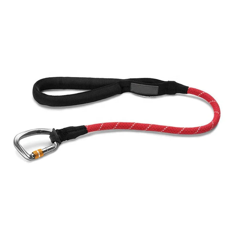 Personalized Nylon & Polyester Medium Large Dog Traction Leash with Carabiner Buckle S/M/L Sizes