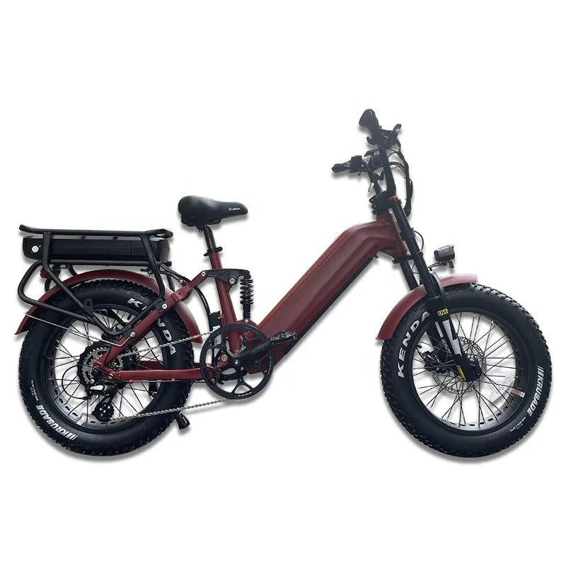 Lantu Ebike Custom 1200w Motor 52v Dual Battery Pedal Assisted Lady Fat Tyre Electric Snow Ebike with Dual Battery