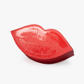 Luxury Design Red Lip Shape Lip Gloss Paper  Box