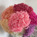 Preserved Dried Hydrangea Long Stem Flowers for Wedding Mother's Day & Christmas Decoration-Eternal Dried Flowers