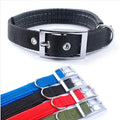 40-70cm Stocked Pet Dog Accessories Heavy Duty Dog Collar Padded