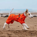 Designer  Pet Clothes Suppliers Stripe Waterproof Fashion Reflective Cat Rain Coat Jacket Reflective Adjustable Dog Raincoat