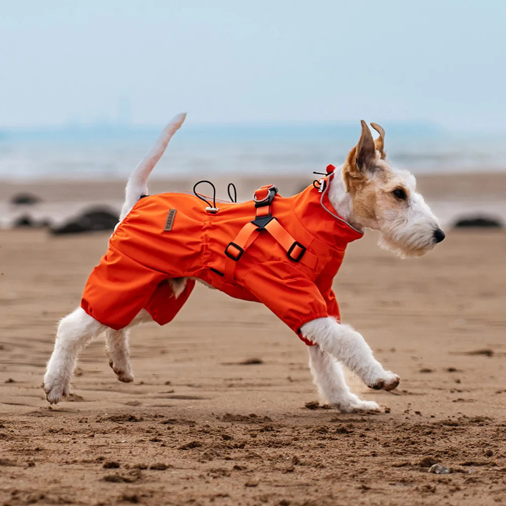 Designer  Pet Clothes Suppliers Stripe Waterproof Fashion Reflective Cat Rain Coat Jacket Reflective Adjustable Dog Raincoat