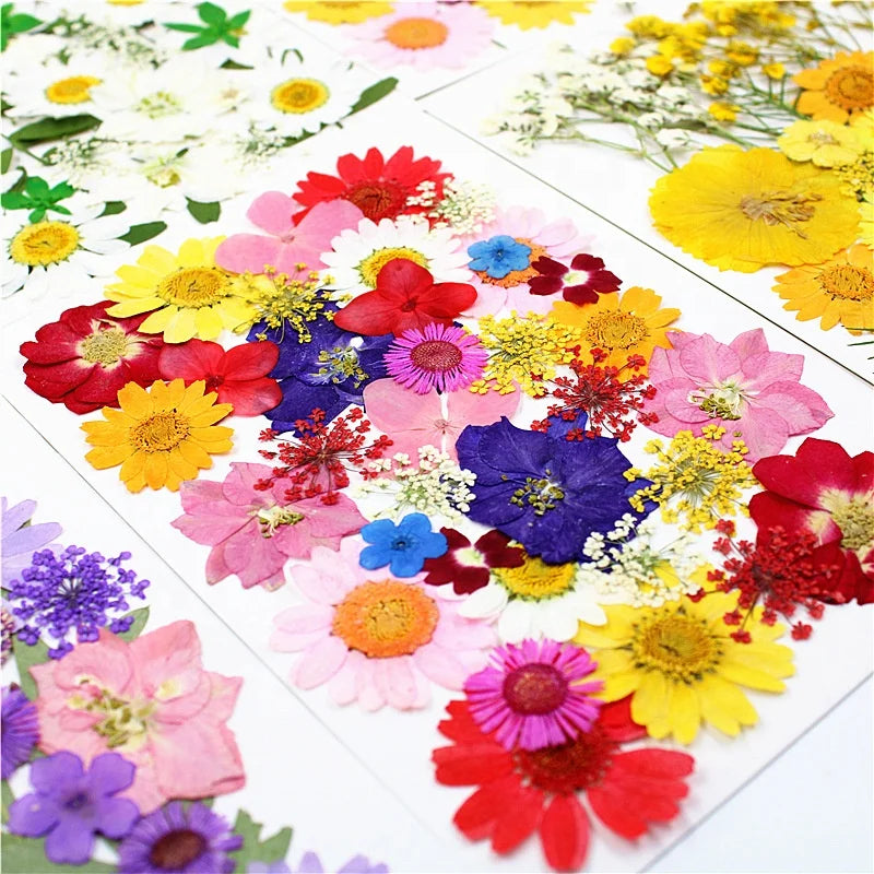 M027 DIY Real Dried Flowers Pressed Nail Art Mold Bulk Resin Decorative Mold Fillings for Easter Home Handicrafts