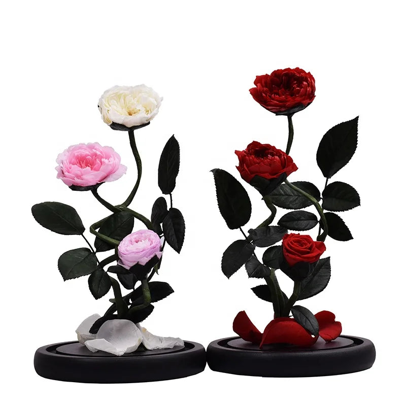 UKIQUEEN Wholesale Plastic Stem Fleur Flores Secas Rosas Preservadas Dry Flower Preserved Austin Eternal Rose in Glass Dome Gift
