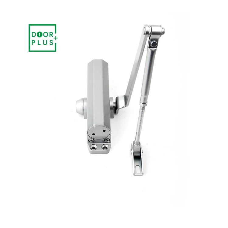Doorplus 45kg Bearing Concealed Wood Door Closer Invisible Pivot Hydraulic Door Closer Hinge Hidden Floor Spring