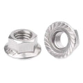 Factory Metal Stainless Steel 304 316 Metric Thread Hex Hexagon Flange Lock Nut DIN6923