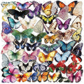 50Pcs Elegant Transparent Butterfly Stickers for Book Laptop Decor PET Material Floral Sticker