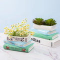 Custom New Indoor Plants Flower Pots Cute Ceramic Ornaments Craft Book Stack Shape Succulent Planters