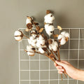 L097 Natural Dried Cotton Flowers Easter DIY Everlasting Flower Dried Cotton Flower Decorative for Home Store Decoration