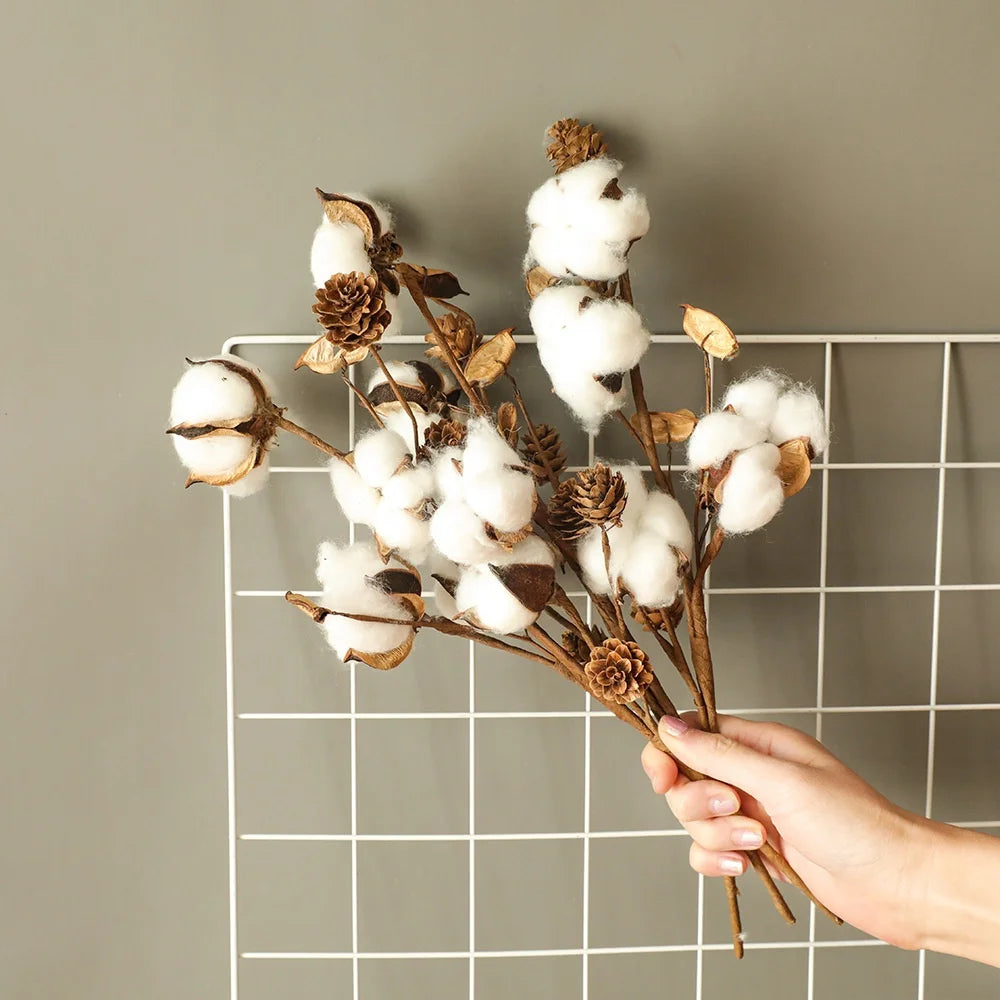 L097 Natural Dried Cotton Flowers Easter DIY Everlasting Flower Dried Cotton Flower Decorative for Home Store Decoration