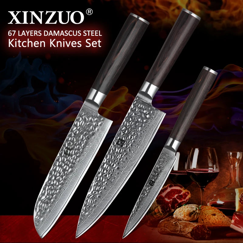 HEZHEN 3 PCS Professional Japanese Damascus Steel Sharp Kitchen Chef Knife Set With Pakka Wood Handle