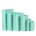 High Quality Eco Friendly Mint Green Paper Bag With Film Lamination