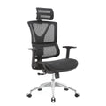 NOEL High Back Full Mesh Office Use Furniture Ergonomic Executive Computer Office Chairs