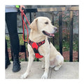 Maychan Custom XL Outdoor Reflective Dog Harness Leash Set Adjustable Nylon with Soft Mesh Padding and Handle for Walking