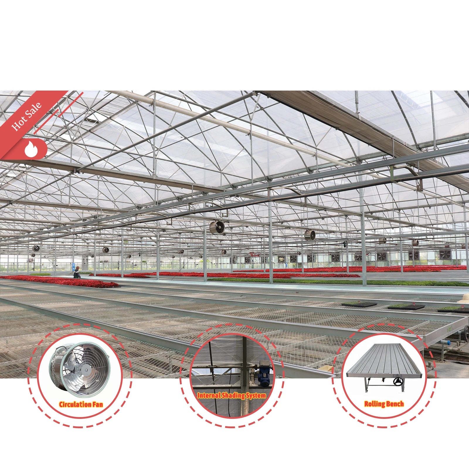 BAOLIDA Large PE Double Layer Multi-Span Agricultural Greenhouse Fully Automated Ventilation Shading System Sprinkler Irrigation